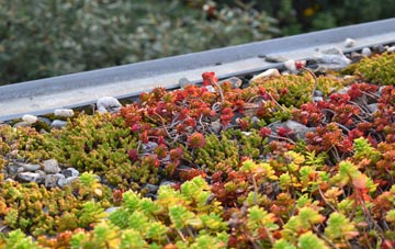 the cost of Ancroft Northmoor green roof installation