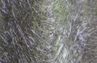 Ancroft Northmoor fibreglass roof work